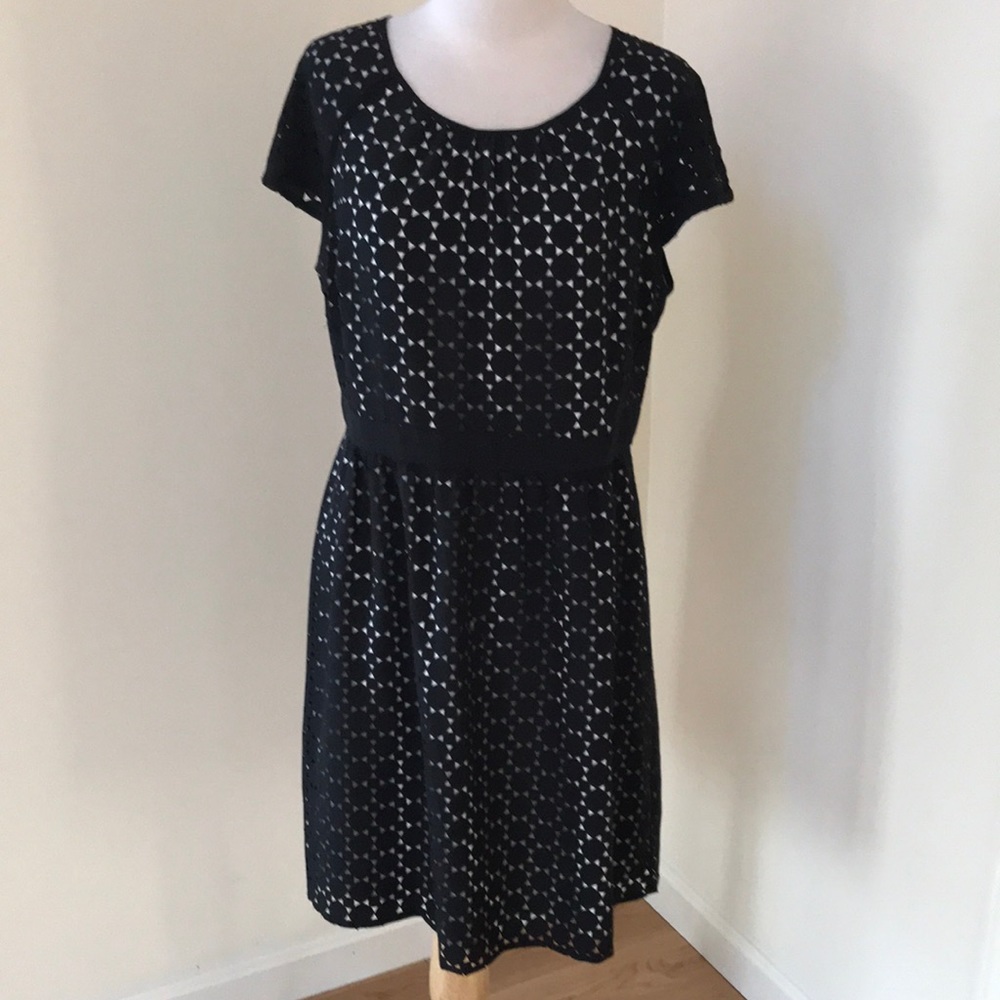 Ann Taylor Size 12P black laser cut cap sleeve dress
